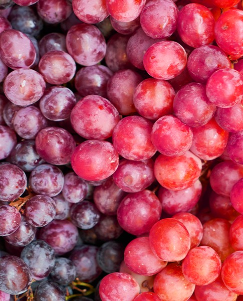 El Resveratrol es un antioxidante natural que se encuentra en las uvas rojas, arándanos y frutos secos